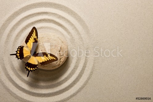 Bild på Zen stone with butterfly